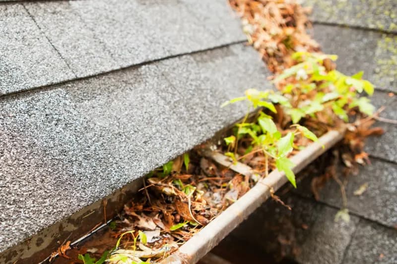 Gutter Cleaning in Park City & Kamas